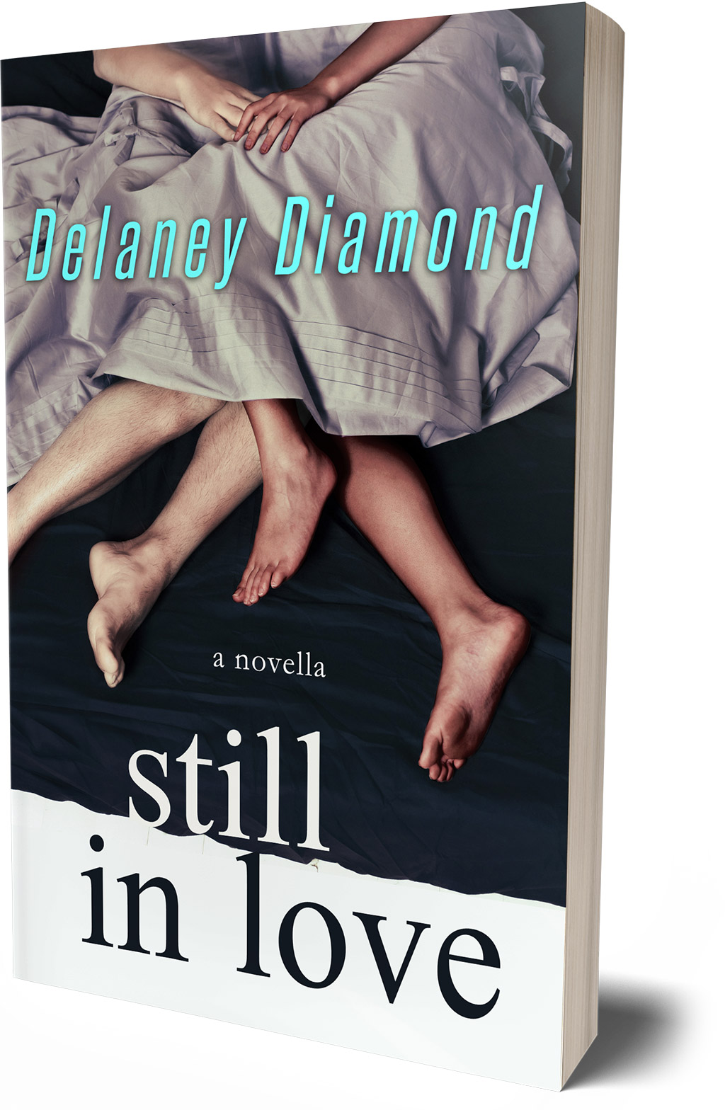 Still in Love, a novel by Delaney Diamond
